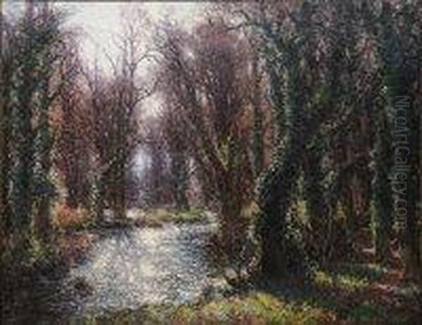 Morning In The Woods - view 1