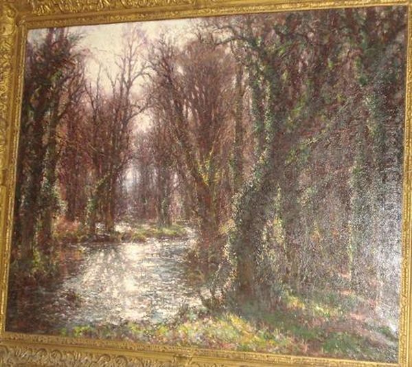 Woodland Stream - view 1