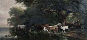Cows By Stream Cows By Stream