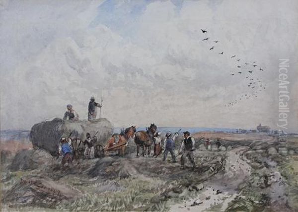Harvesting Scene - view 1