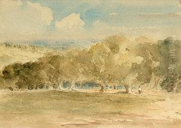 "the Forest Of Arden" - view 1