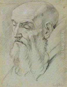 Studie Eines Bartigen Mannes by Noel Coypel