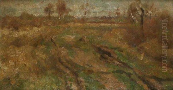 Moorland - view 1