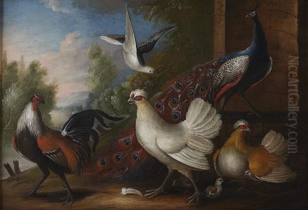 Ornamental Fowl In A Garden - view 1