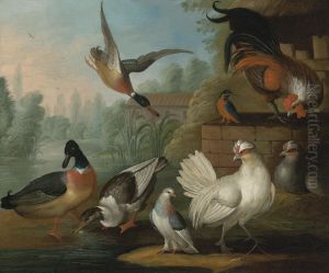 Still Life by Marmaduke Cradock