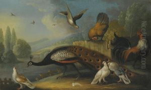 A Still Life With A Peacock, Pigeons And Chickens In A River Landscape by Marmaduke Cradock