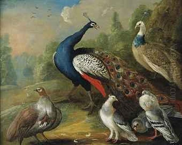 A Peacock And Other Birds In A Wooded Landscape by Marmaduke Cradock