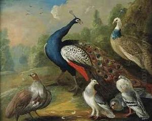 A Peacock And Other Birds In A Wooded Landscape