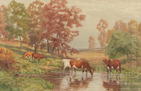 Cows Watering - view 1