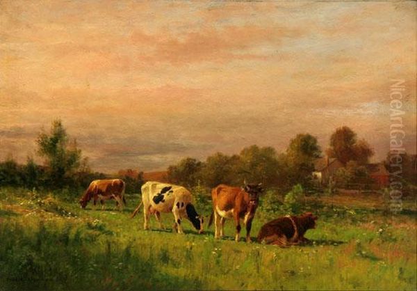 Cows Grazing In A Meadow - view 1