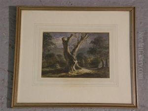 Study Of A Tree by John Crampton