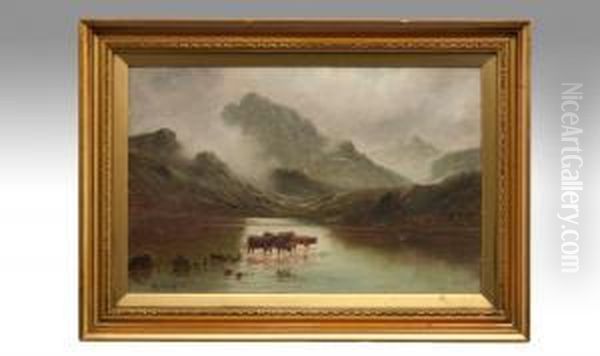 Highland Cattle Watering In A Lake - view 1