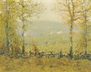 The Vista