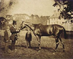 Wild Dayrell by William, 2nd Earl Craven