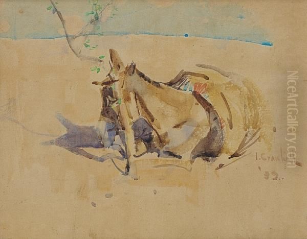 Donkey Resting - view 1