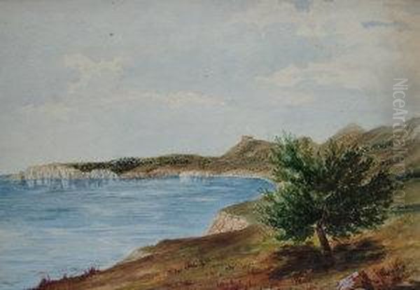 "fort St George And The District Of ...."; Watercolour, Bearsinscription And Dated 1869 Verso, 25x36cm - view 1