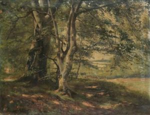 Bosgezicht by Gerard Crehay