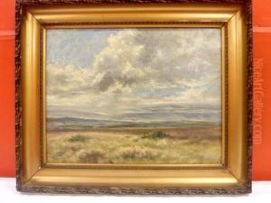 Fagnes Fagnes