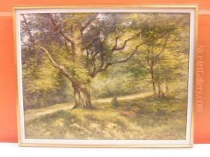 Sous-bois Sous-bois