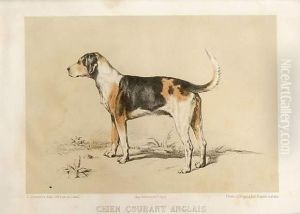 Chien Courant Anglais by Leon Cremiere