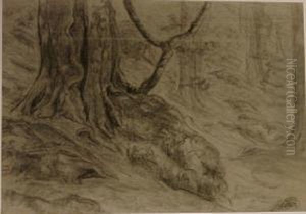 Etude De Pied D'arbre - view 1