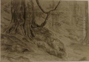 Etude De Pied D'arbre by Suzanne Crepin