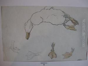 Le Canard by Suzanne Crepin