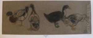 Les Canards by Suzanne Crepin
