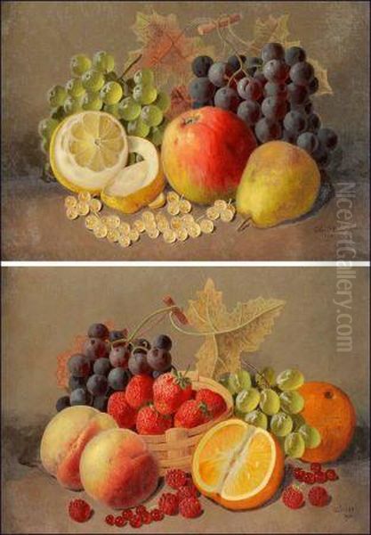 Still Life Studies Of Mixed Fruit - view 1
