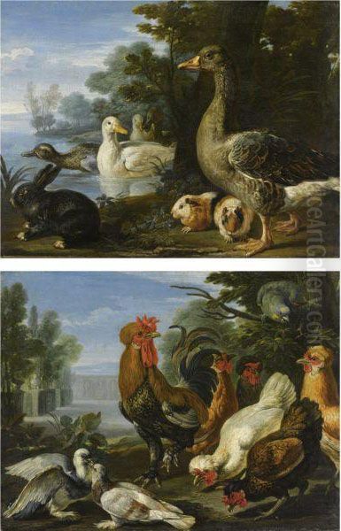 Galli, Colombe E Un Pappagallo - view 1