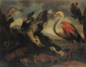 Uccelli Entro Paesaggio