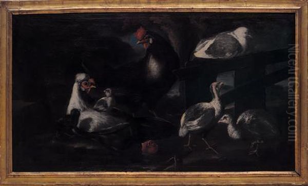 Animali Da Cortile - view 1