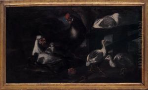 Animali Da Cortile by Angelo Maria Crivelli, Il Crivellone