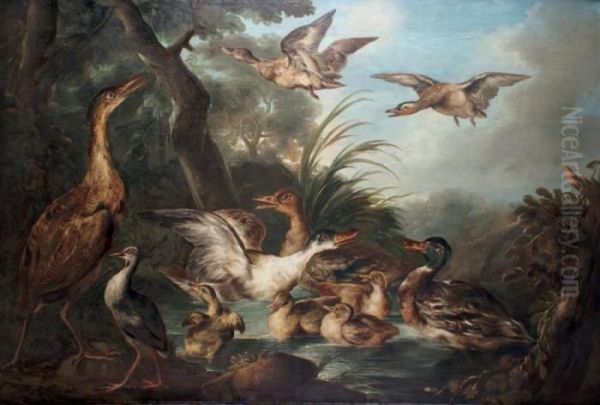 Canards Et Volatiles Dans Une Marre - view 1