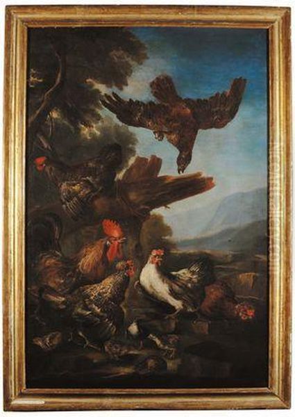 Tacchini Gallo E Galline - view 1