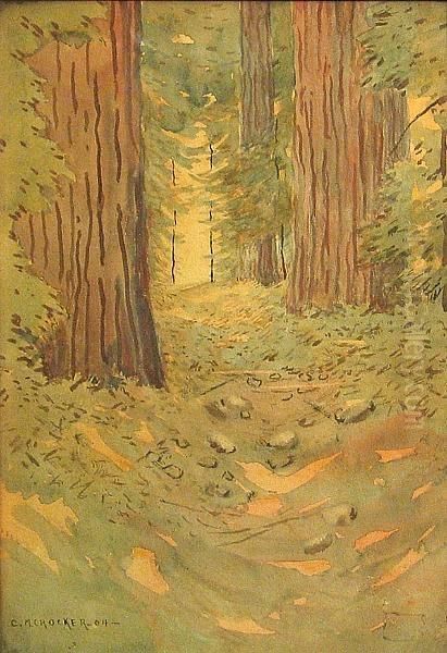 A Path Through The Redwoods - view 1