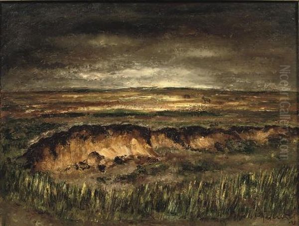 Meent-blaricum - view 1