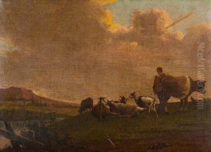 Paesaggio Paesaggio