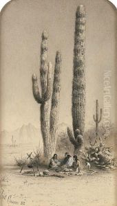 Giant Cactus In The Gila Desert by Rudolf (Daniel Ludwig) Cronau