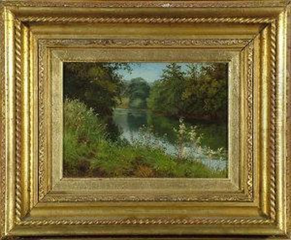 The Bank Of The Derwent At Duffield, Derbyshire - view 1