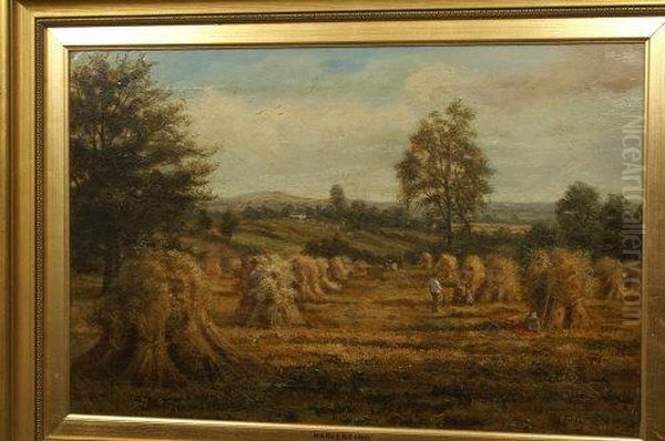 Harvesting - view 1
