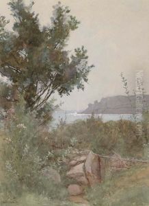 Paysage Au Bord De Mer Paysage Au Bord De Mer