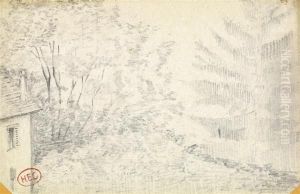 Paysage