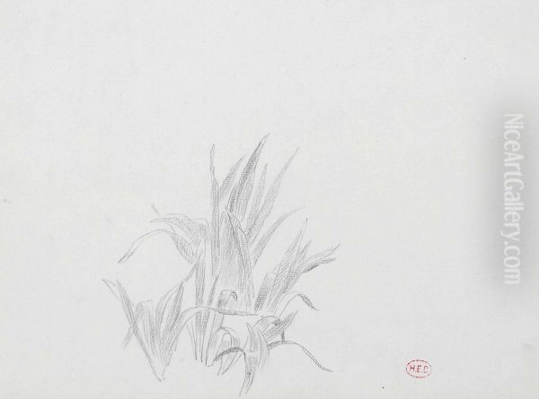 Etude De Feuillage - view 1