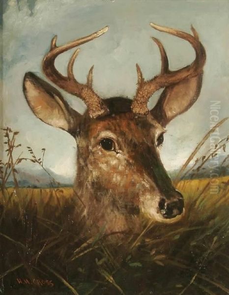 Deer In Tall Grass - view 1