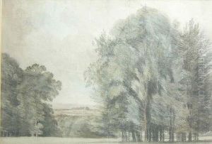 Trees In A Landscape by Dr. William Crotch