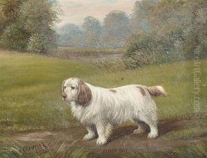 Minky Boy by Henry Crowther