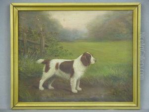 Welshrandy