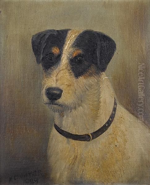 Head Of A Fox Terrier - view 1