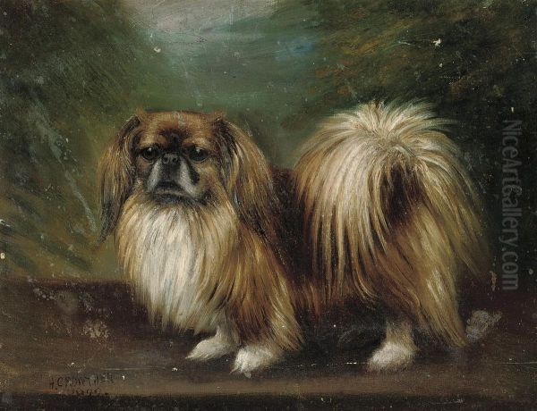 A Pekinese - view 1